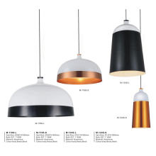 Modern Decorative Aluminium Pendant Lamp (M-119S-S)